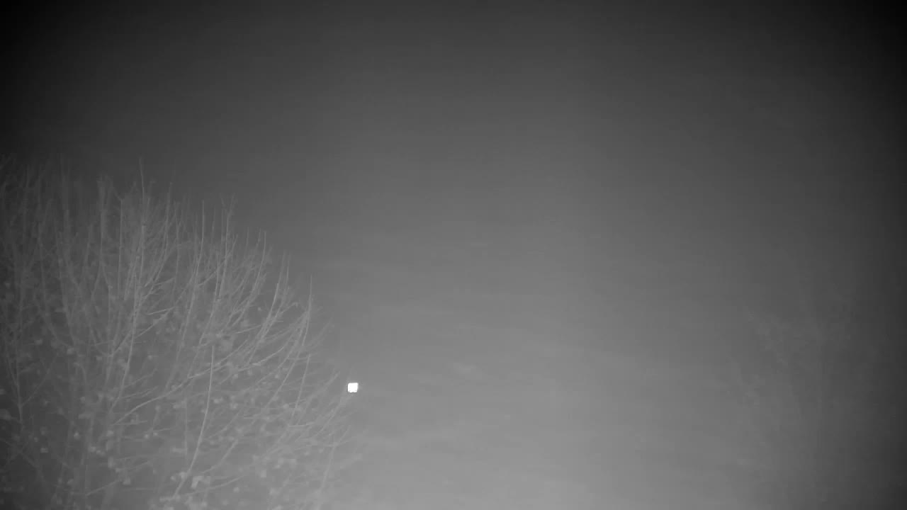 Spletna kamera Ribnik Vrbje – Žalec