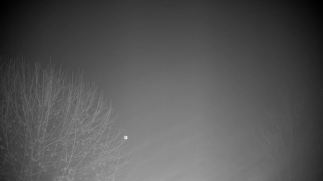 Webcam Ribnik Vrbje – Žalec