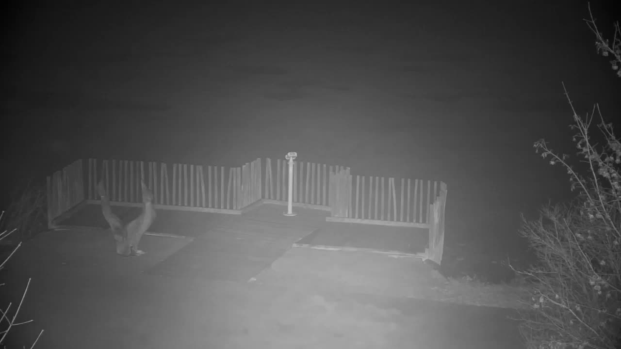 Webcam Ribnik Vrbje – Žalec