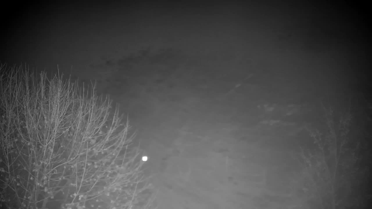 Webcam Ribnik Vrbje – Žalec