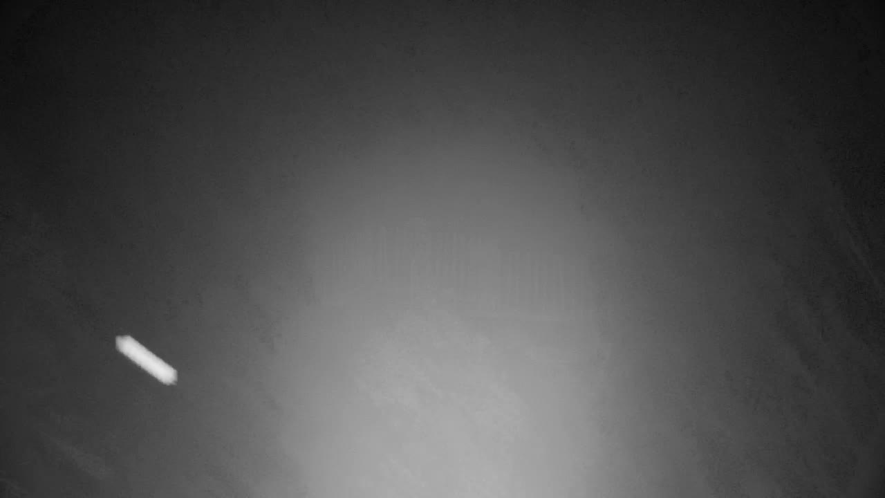 Web kamera Ribnik Vrbje – Žalec