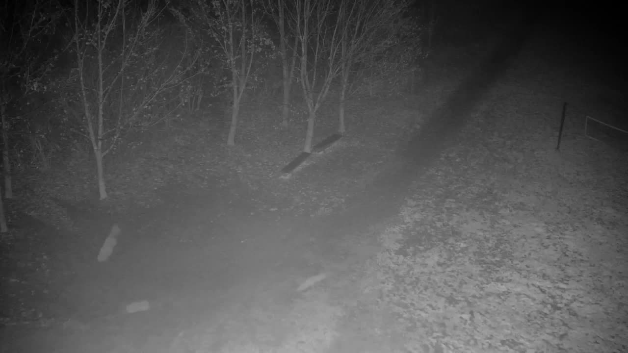 Web kamera Ribnik Vrbje – Žalec