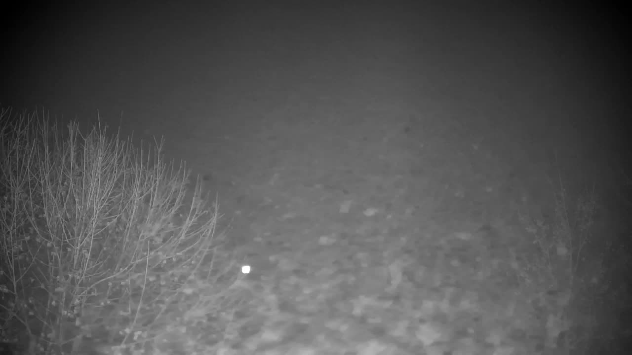 Webcam Ribnik Vrbje – Žalec