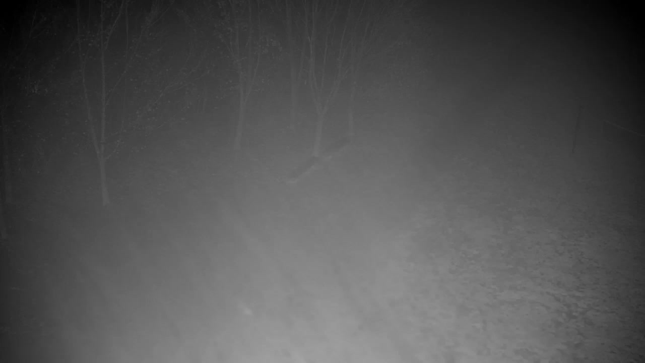 Webcam Ribnik Vrbje – Žalec