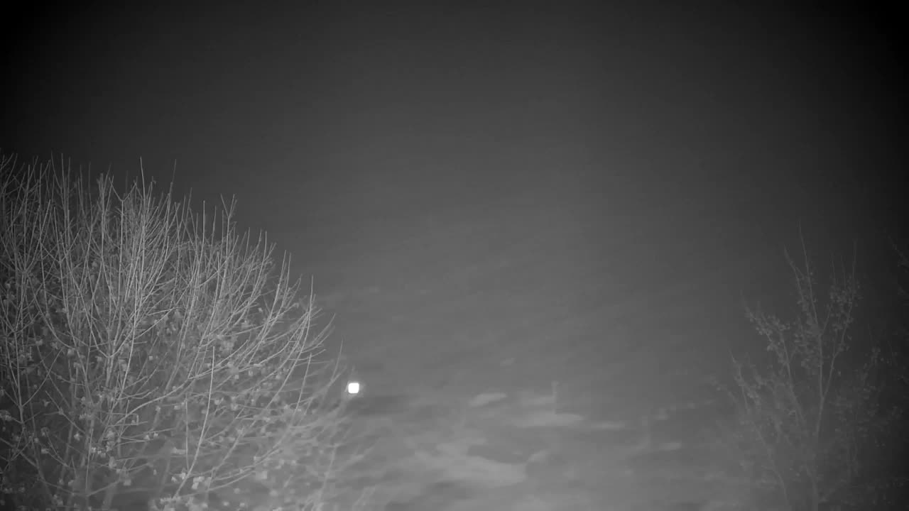 Webcam Ribnik Vrbje – Žalec