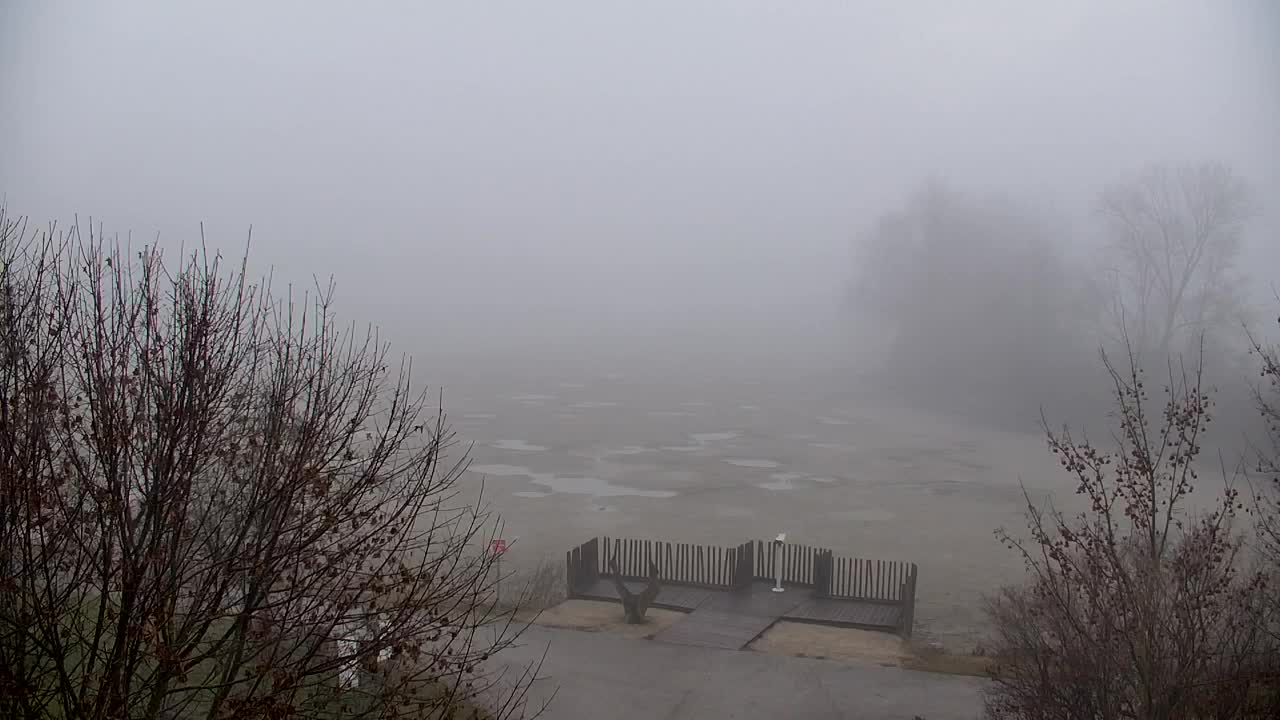 Web kamera Ribnik Vrbje – Žalec