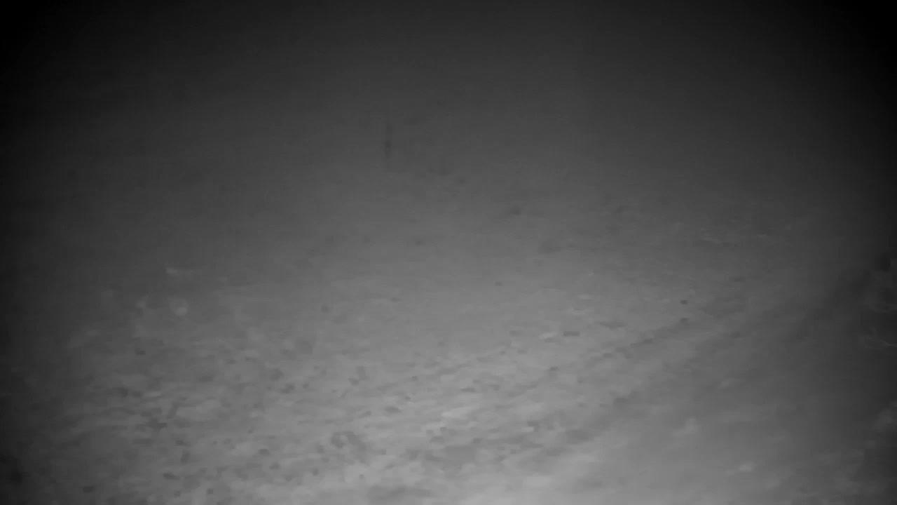 Webcam Ribnik Vrbje – Žalec