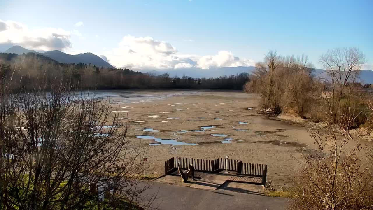 Webcam Ribnik Vrbje – Žalec