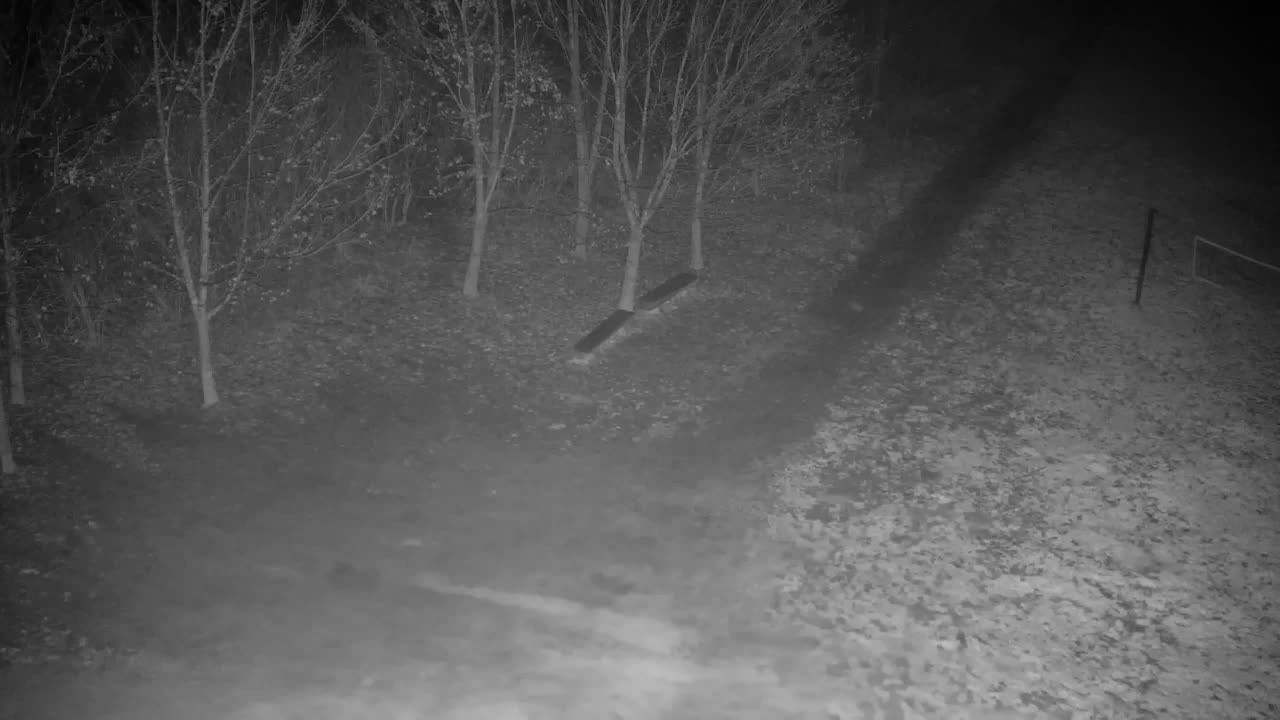 Webcam Ribnik Vrbje – Žalec