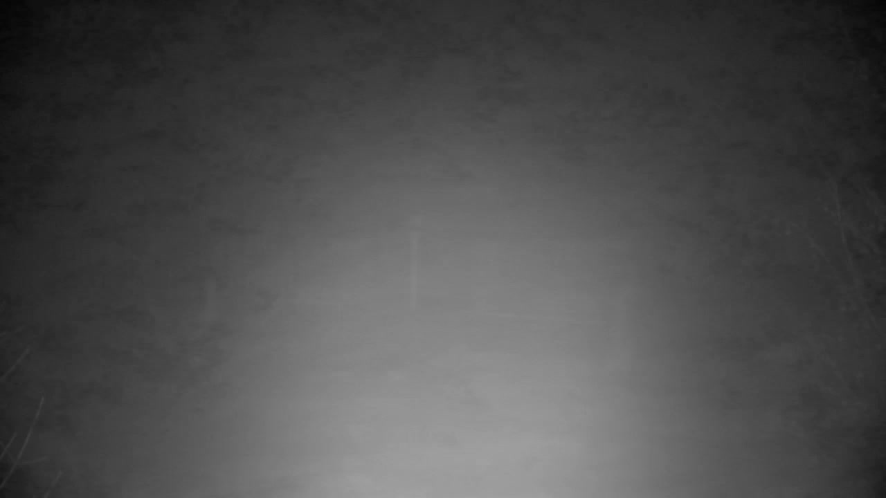 Webcam Ribnik Vrbje – Žalec