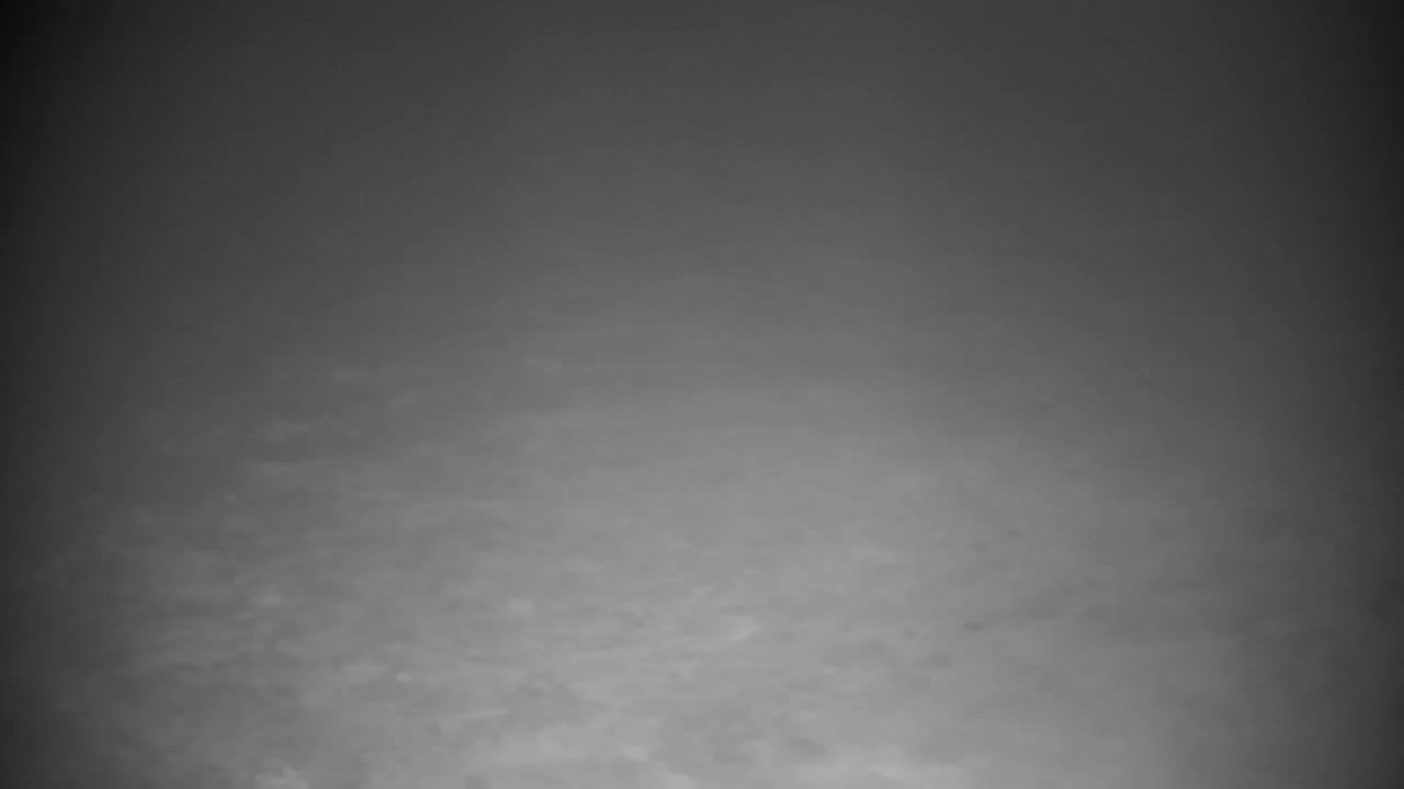 Webcam Ribnik Vrbje – Žalec