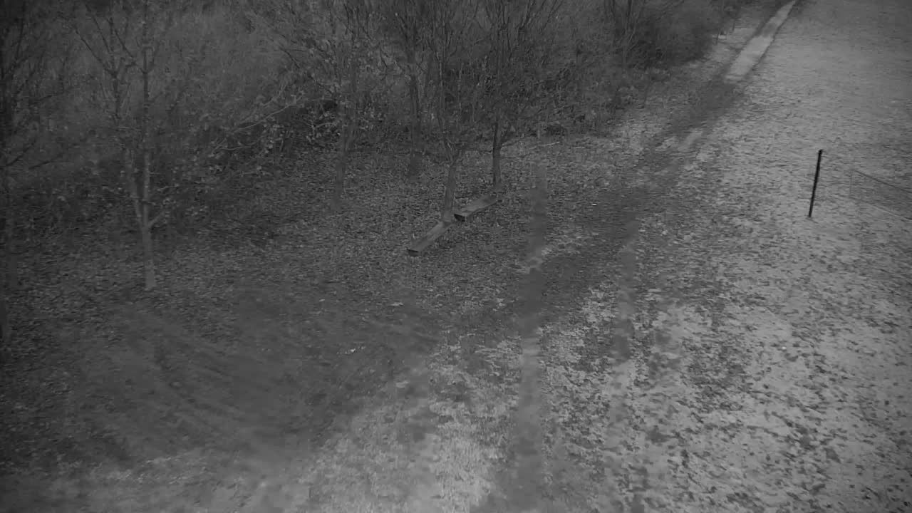 Webcam Ribnik Vrbje – Žalec