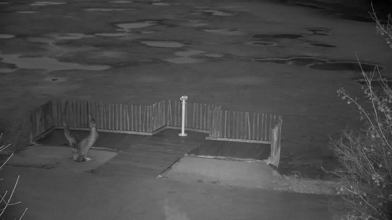 Webcam Ribnik Vrbje – Žalec