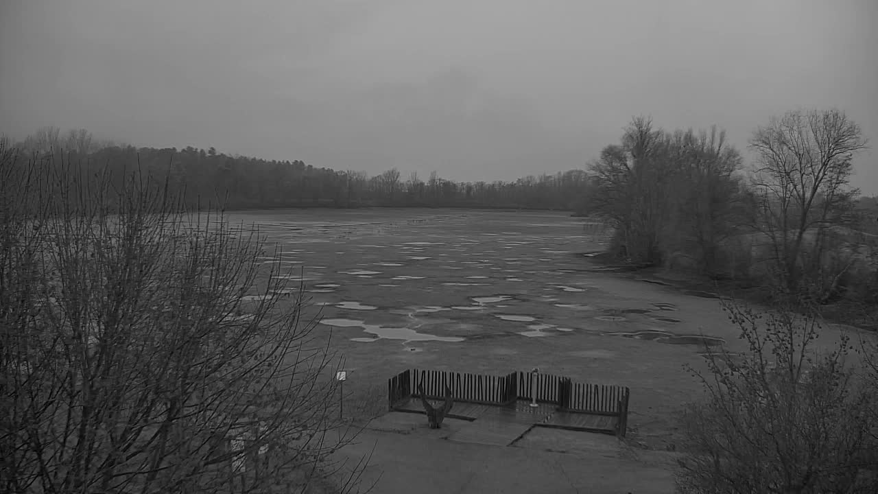 Spletna kamera Ribnik Vrbje – Žalec