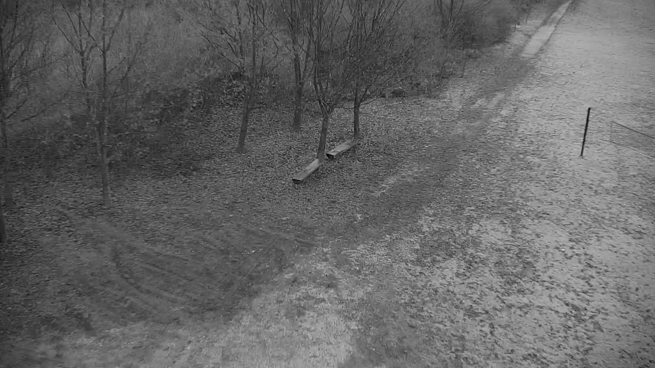 Webcam Ribnik Vrbje – Žalec