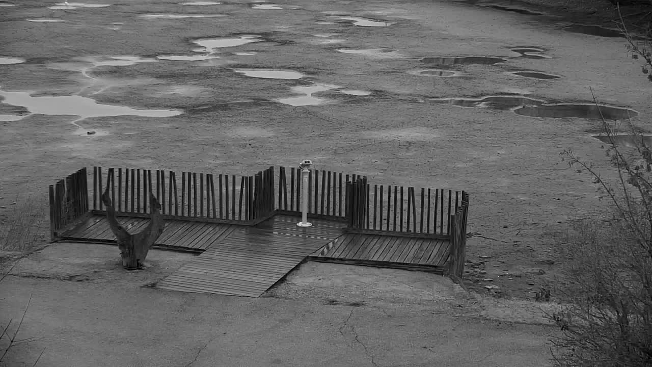 Webcam Ribnik Vrbje – Žalec