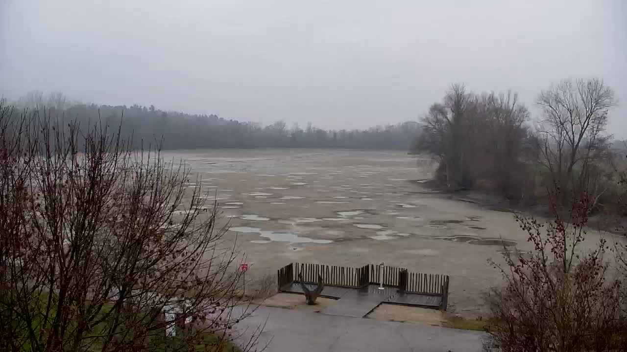 Webcam Ribnik Vrbje – Žalec