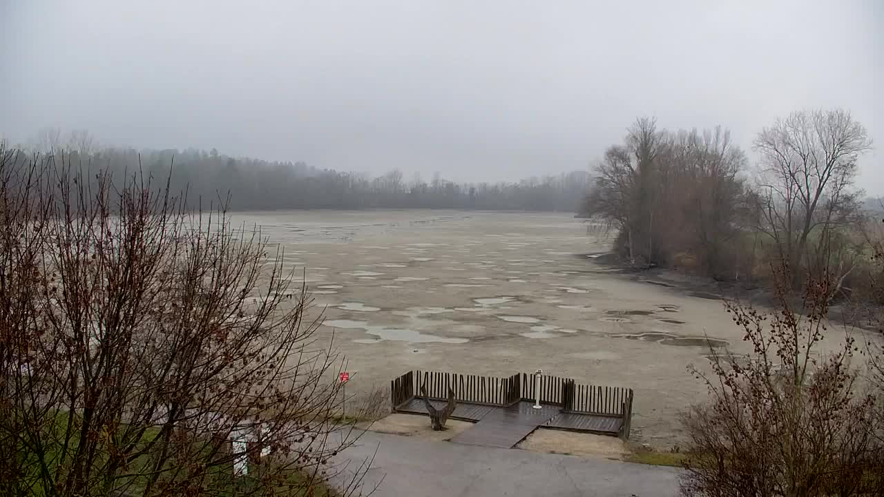 Webcam Ribnik Vrbje – Žalec