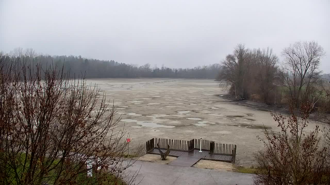 Webcam Ribnik Vrbje – Žalec