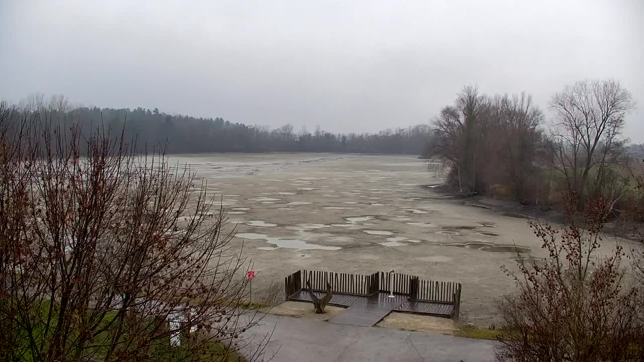 Webcam Ribnik Vrbje – Žalec