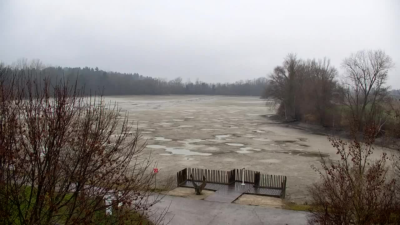 Webcam Ribnik Vrbje – Žalec