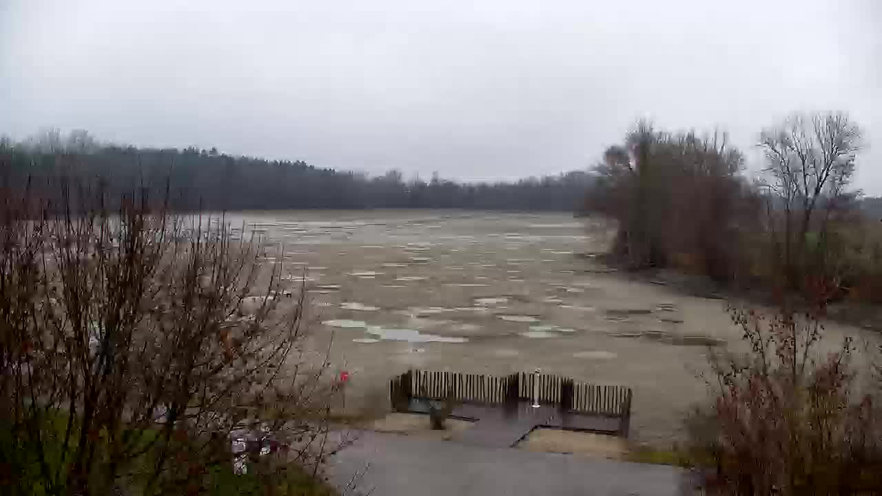 Webcam Ribnik Vrbje – Žalec