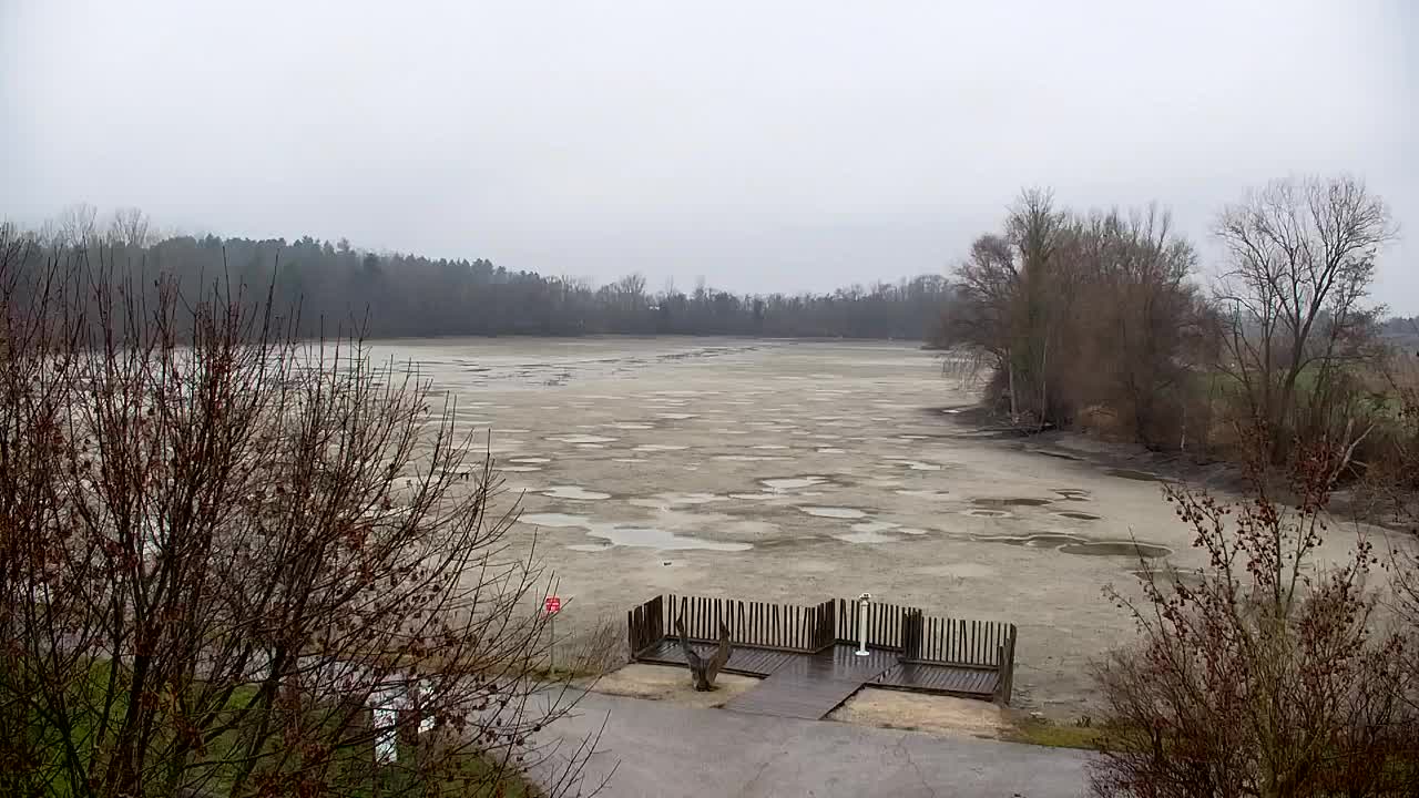 Webcam Ribnik Vrbje – Žalec