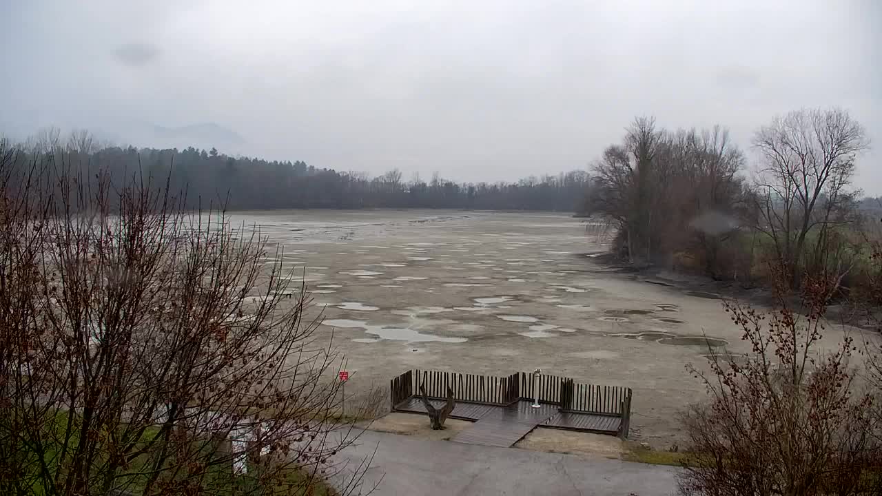 Webcam Ribnik Vrbje – Žalec