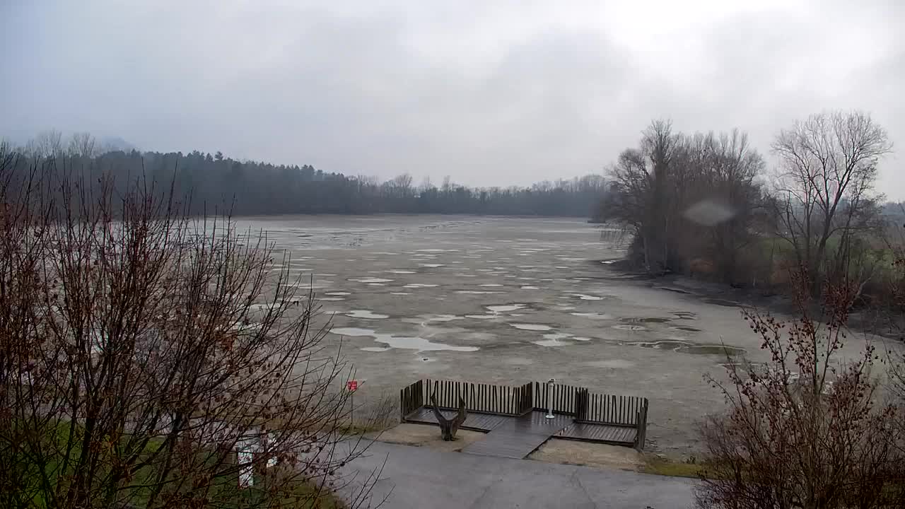 Webcam Ribnik Vrbje – Žalec