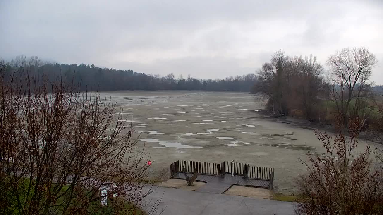 Webcam Ribnik Vrbje – Žalec