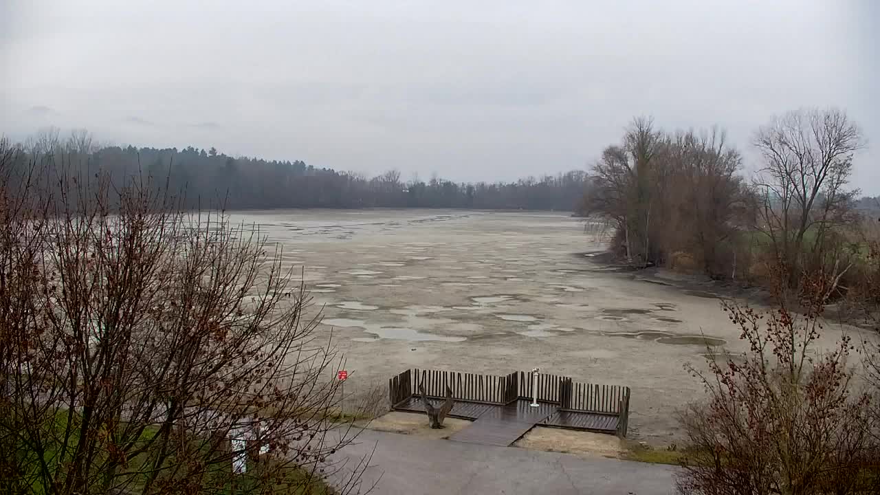 Webcam Ribnik Vrbje – Žalec