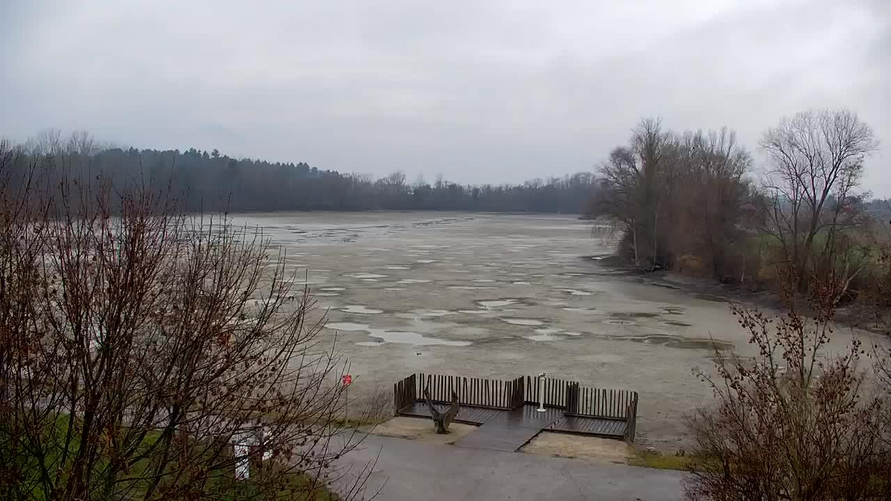 Webcam Ribnik Vrbje – Žalec