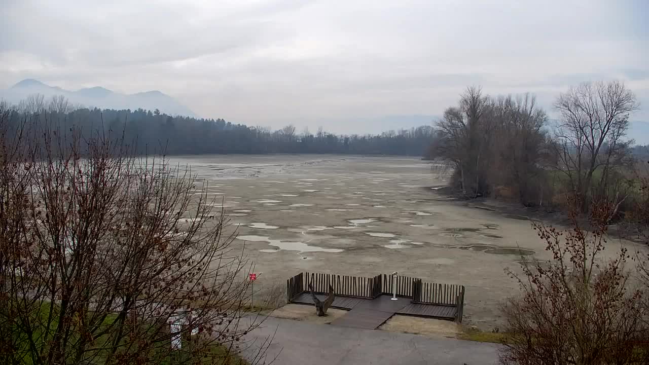 Webcam Ribnik Vrbje – Žalec