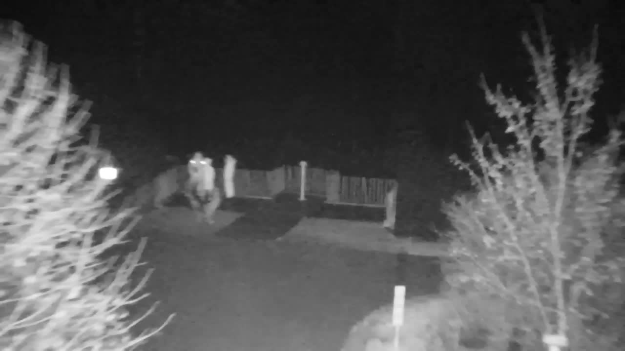 Webcam Ribnik Vrbje – Žalec