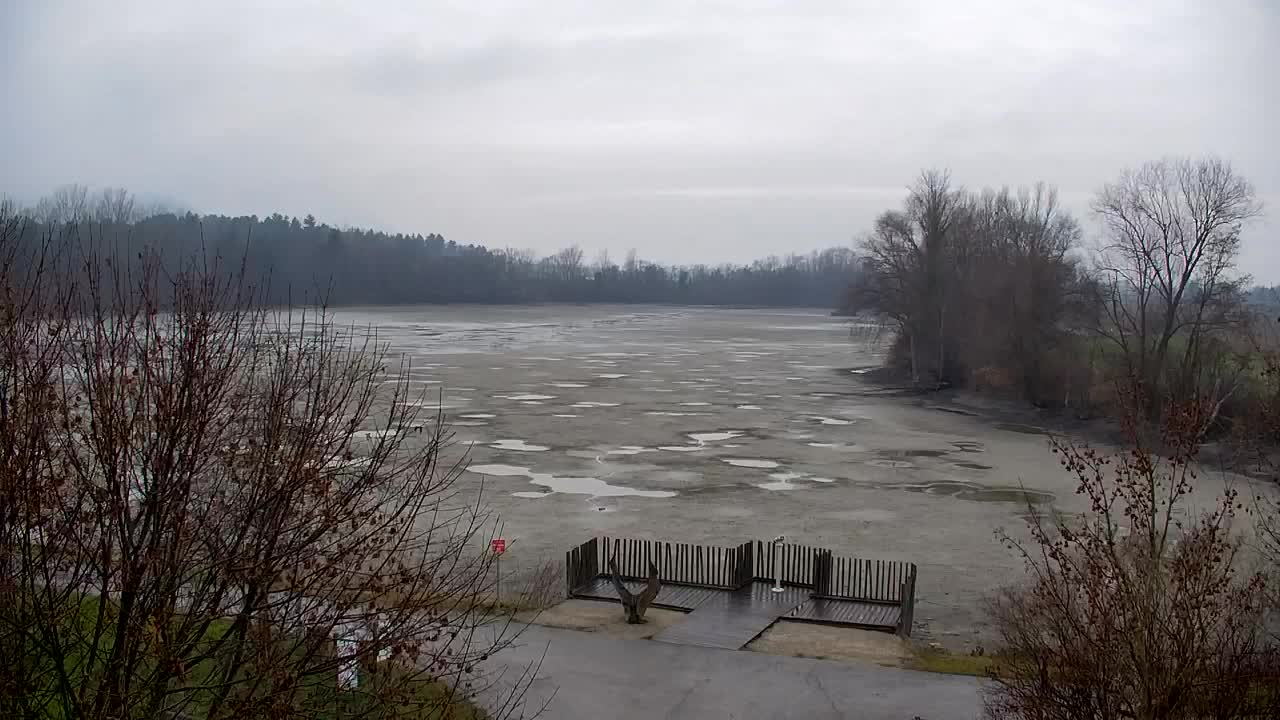 Webcam Ribnik Vrbje – Žalec