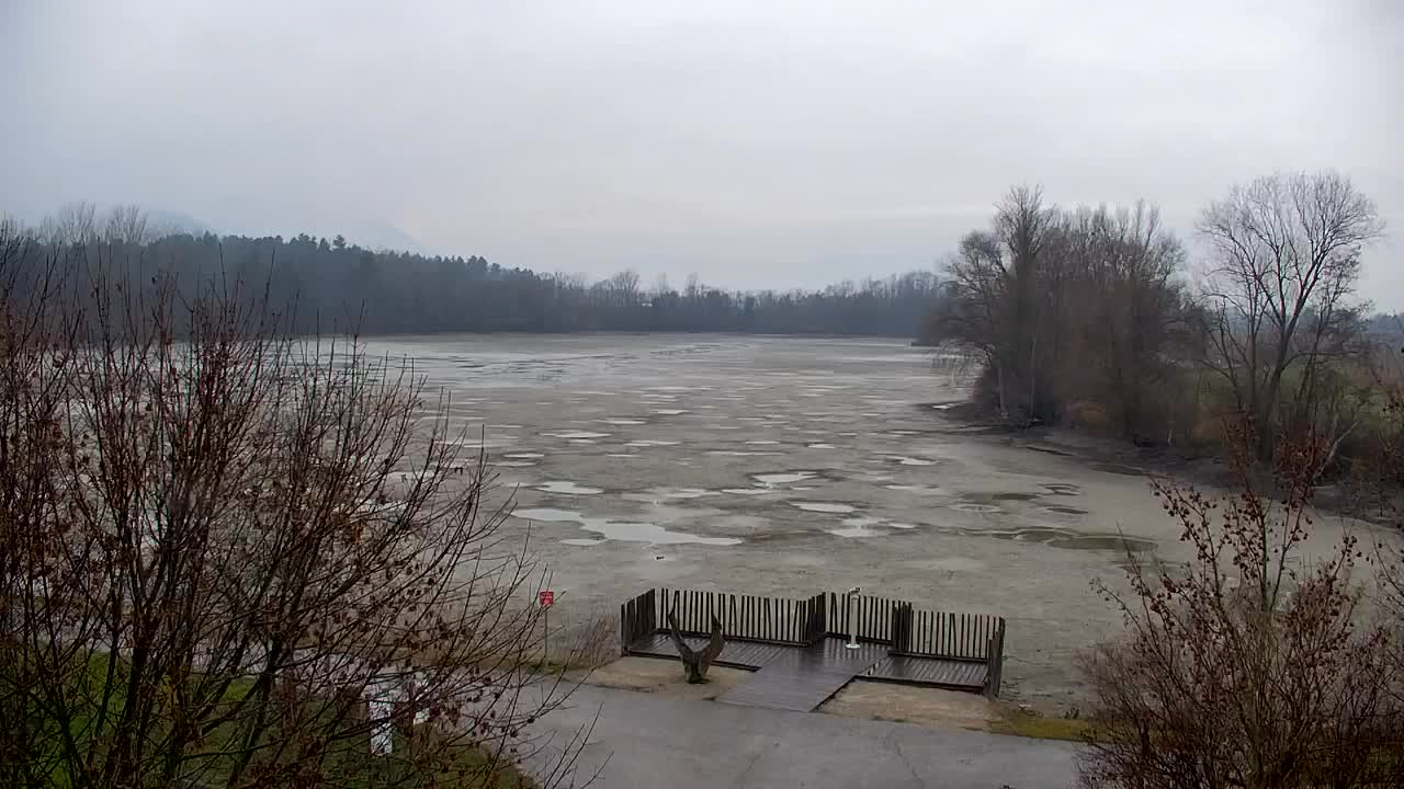 Webcam Ribnik Vrbje – Žalec