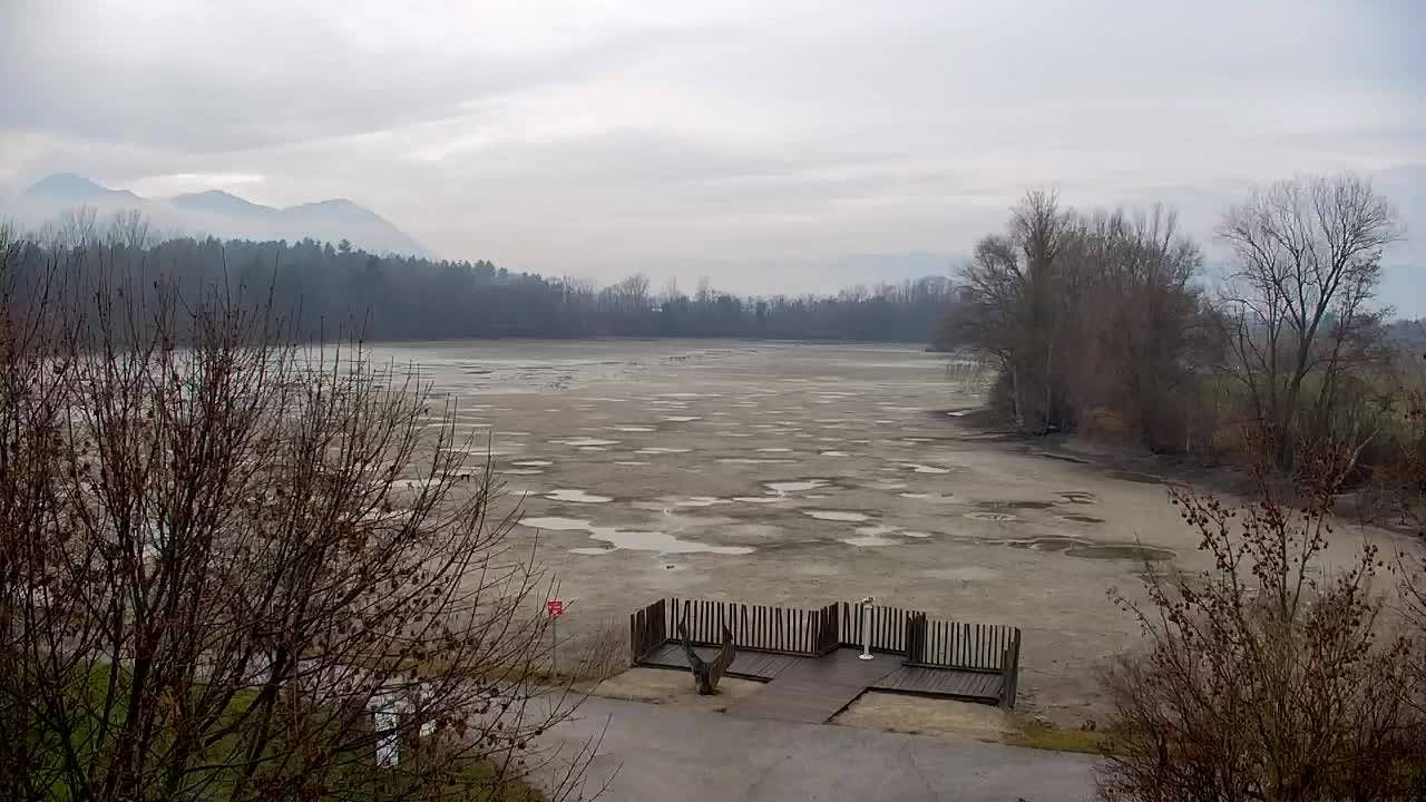 Webcam Ribnik Vrbje – Žalec