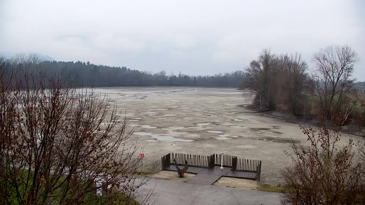 Webcam Ribnik Vrbje – Žalec