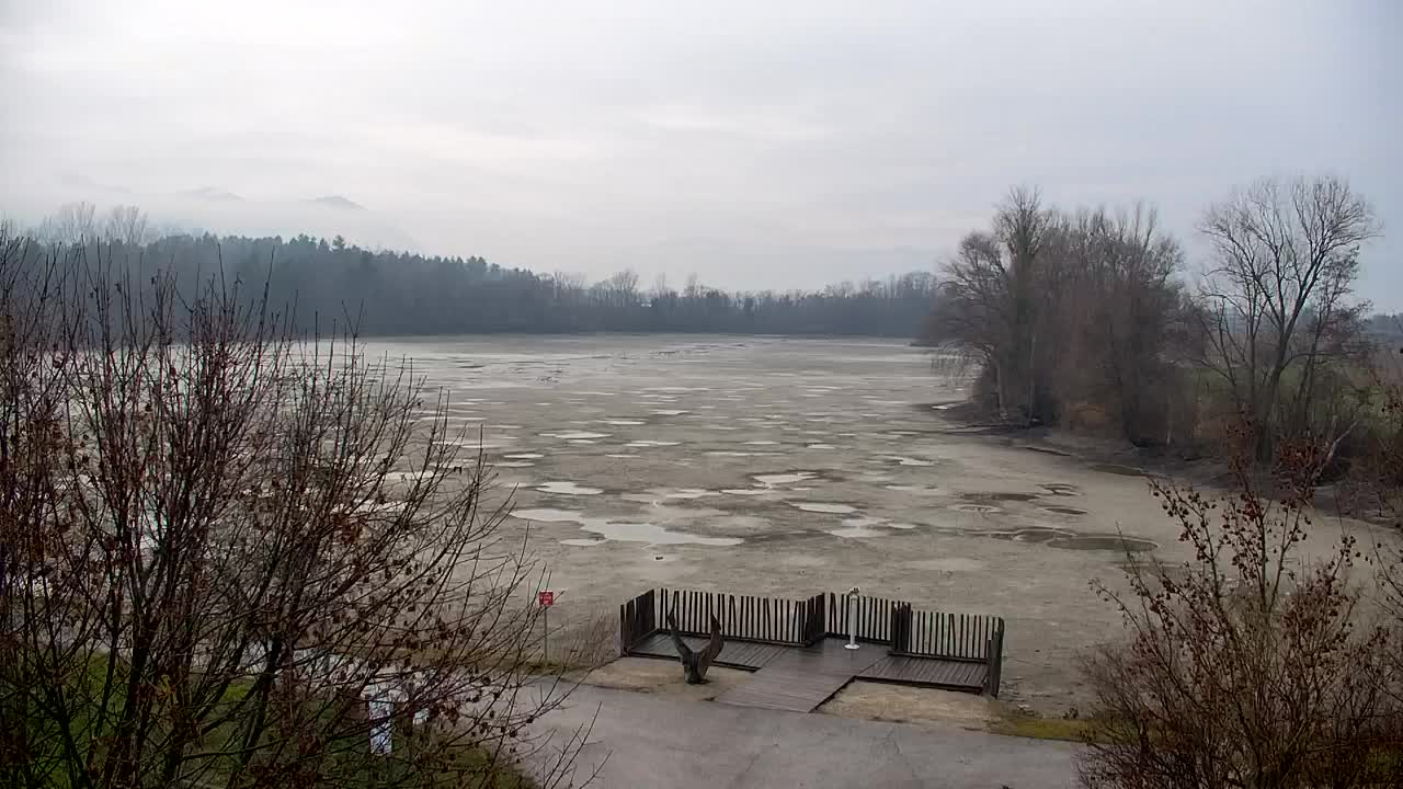 Webcam Ribnik Vrbje – Žalec