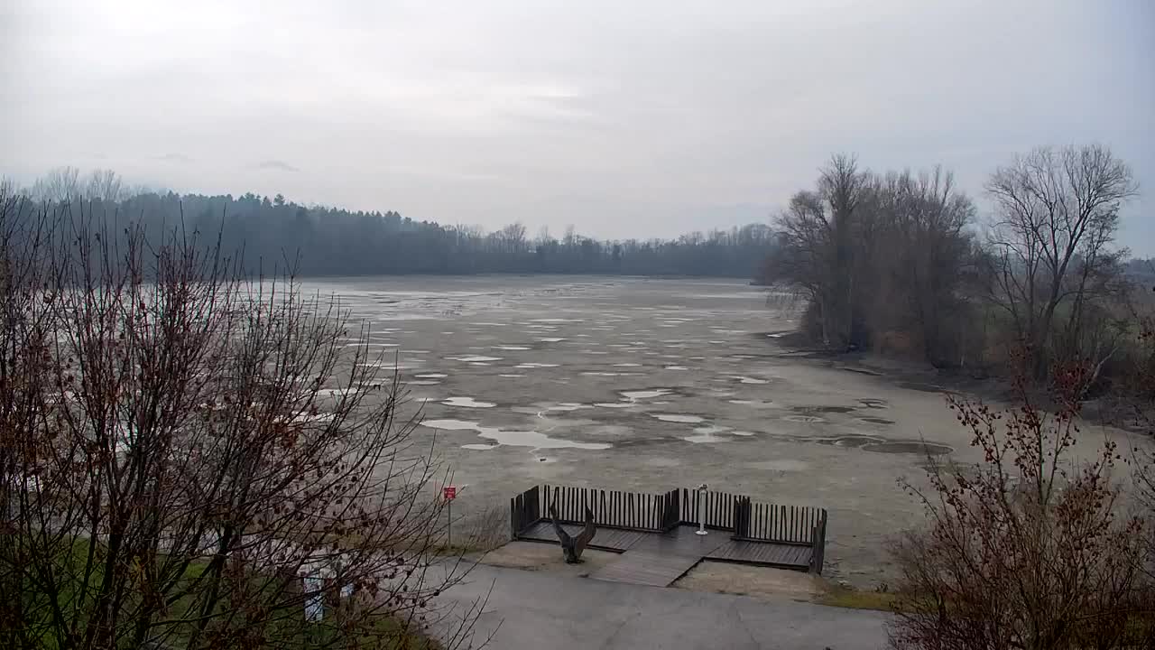 Spletna kamera Ribnik Vrbje – Žalec