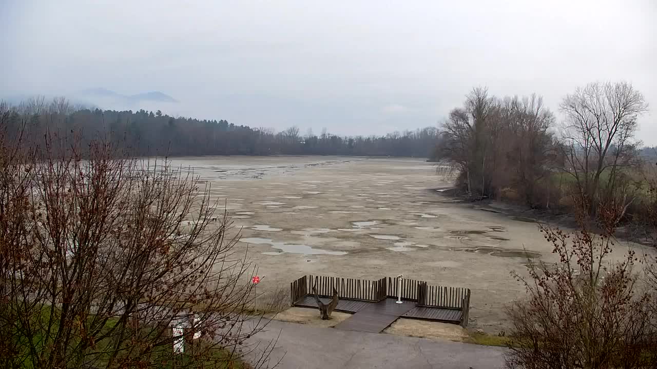 Webcam Ribnik Vrbje – Žalec