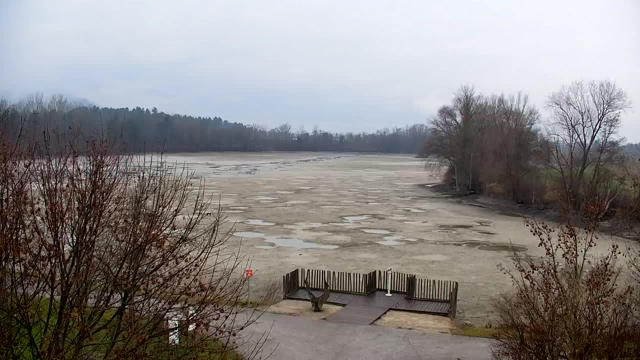 Webcam Ribnik Vrbje – Žalec