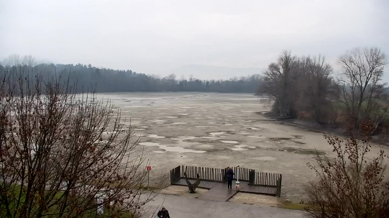 Spletna kamera Ribnik Vrbje – Žalec