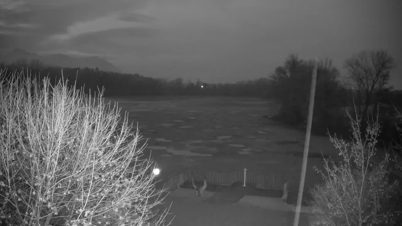 Webcam Ribnik Vrbje – Žalec