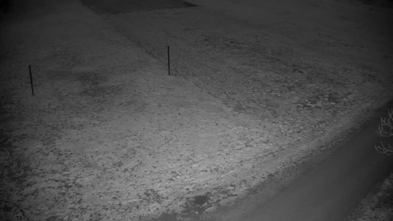 Webcam Ribnik Vrbje – Žalec