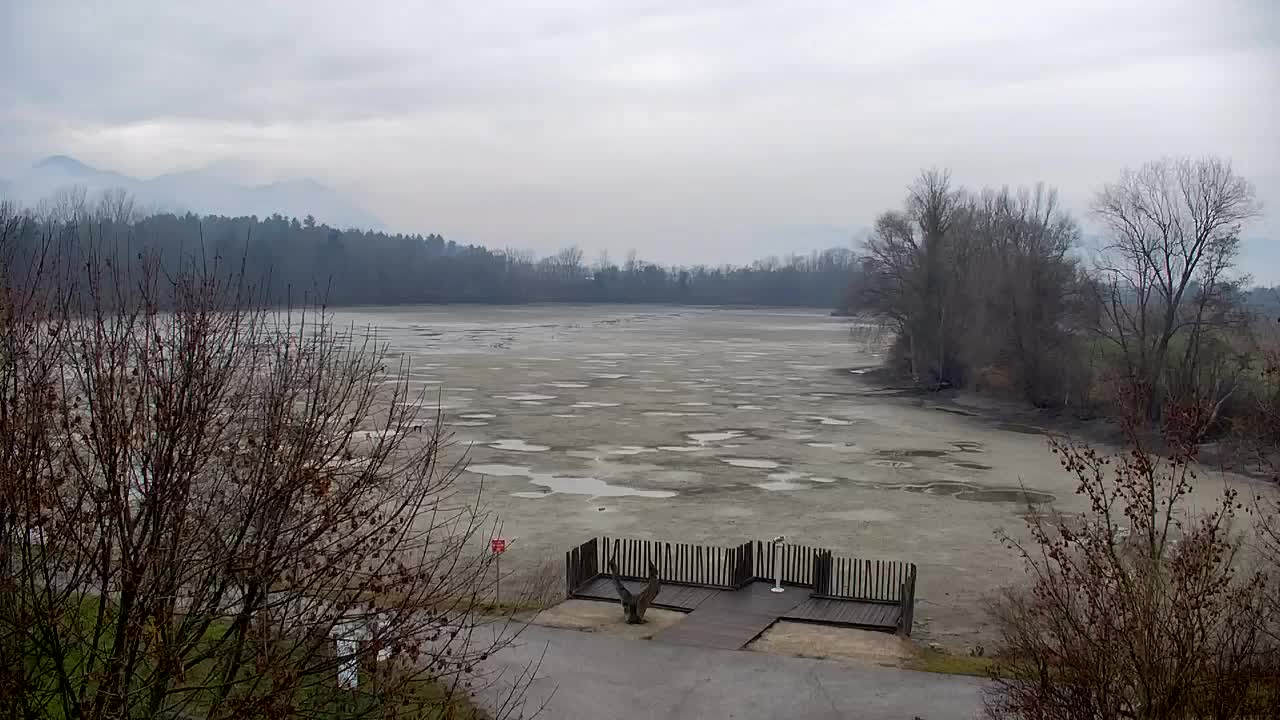 Spletna kamera Ribnik Vrbje – Žalec