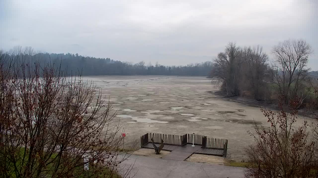 Spletna kamera Ribnik Vrbje – Žalec