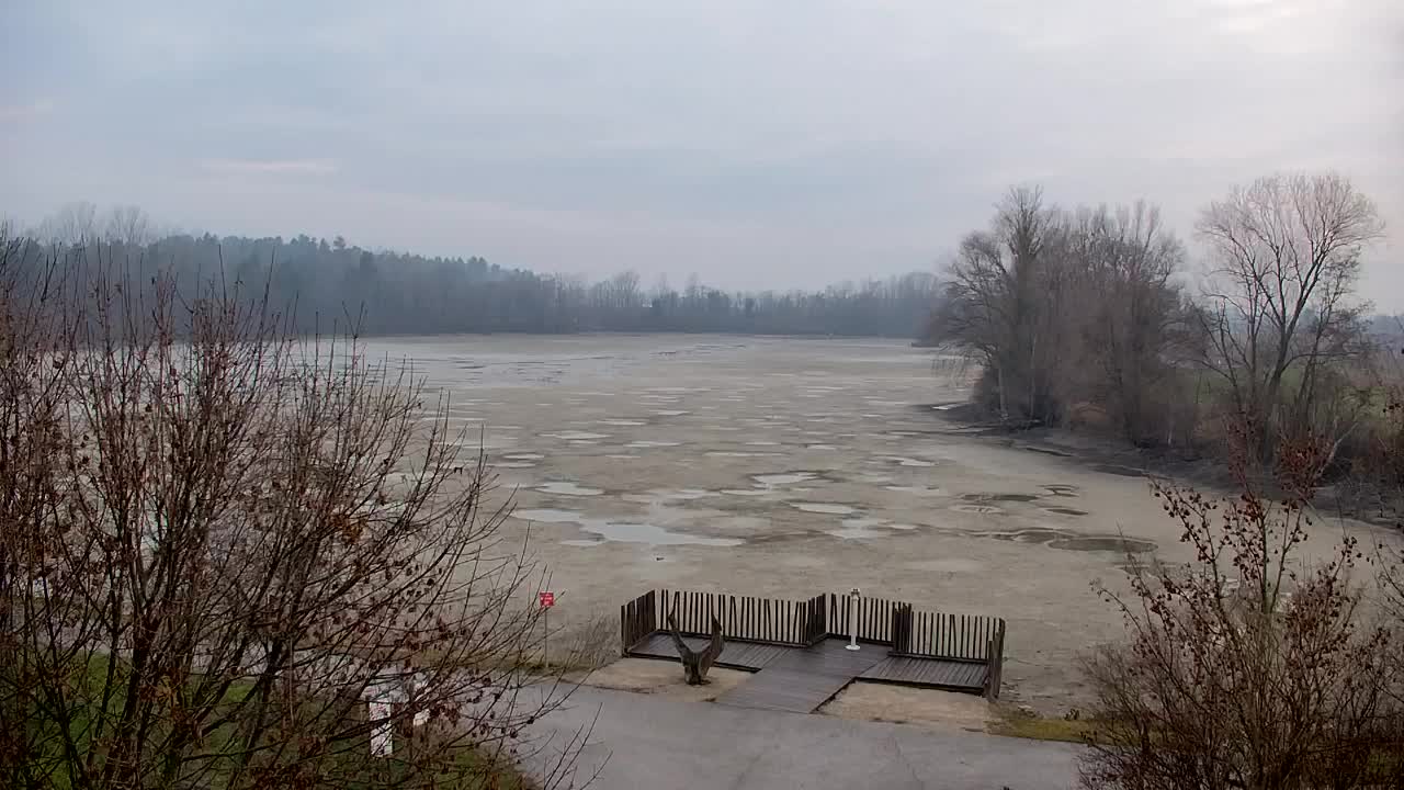 Webcam Ribnik Vrbje – Žalec