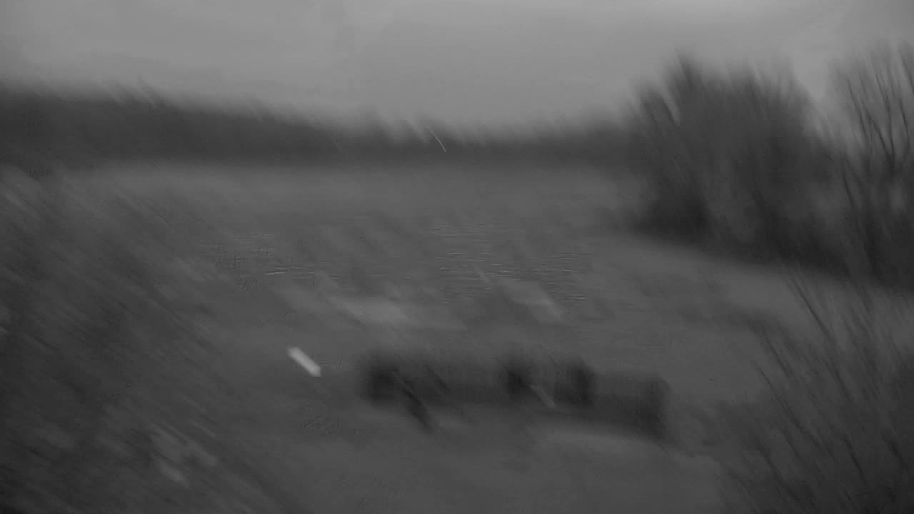 Webcam Ribnik Vrbje – Žalec