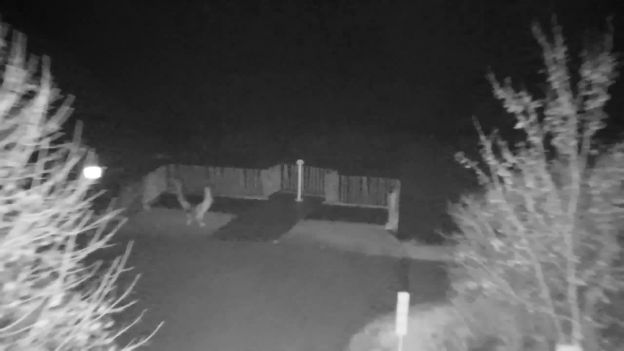 Webcam Ribnik Vrbje – Žalec